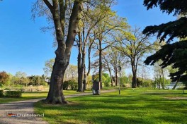 Natuurcamping in Noord Duitsland